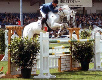 Carthago Z - Show Jumping Stallion