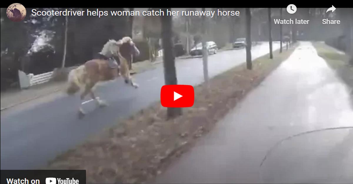 Scooterdriver Helps Woman Catch Her Runaway Horse