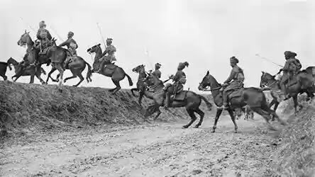 Horses Of World War One