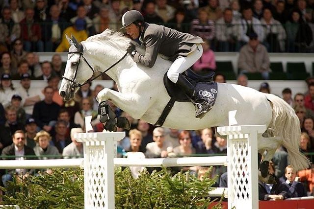Champion du Lys