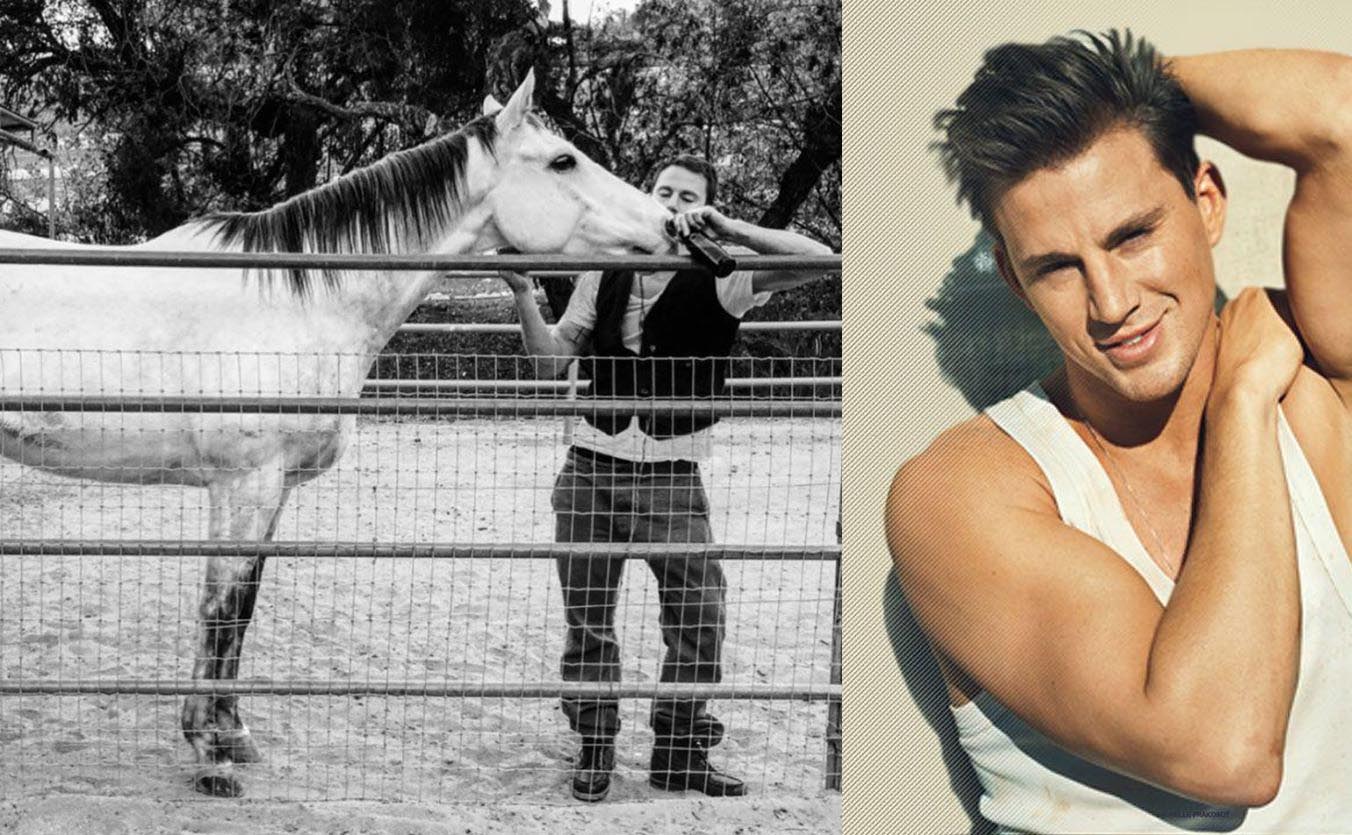 Channing Tatum IS Even Hotter Now! - Celebrity Rescues A Horse