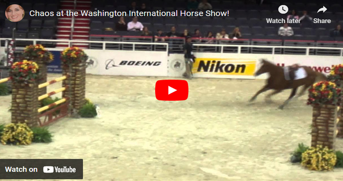 Chaos at the Washington International Horse Show