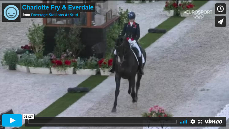 Everdale - Dressage Stallion