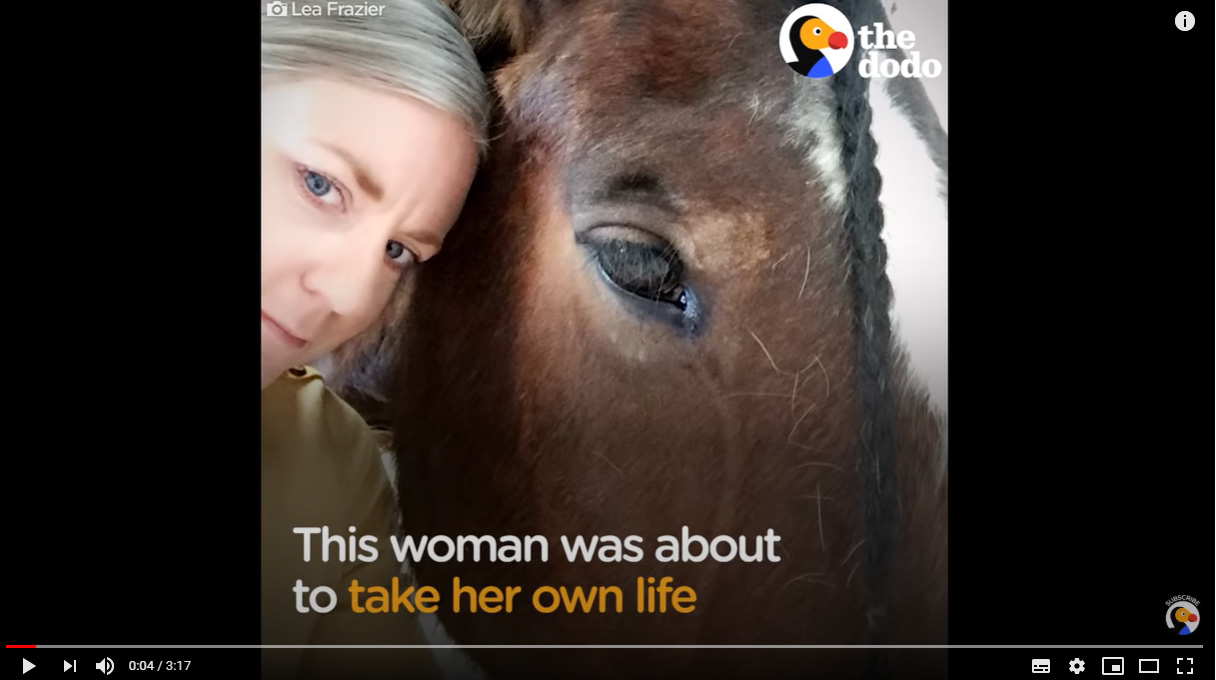 Horse Stops Woman From Taking Her Own Life 