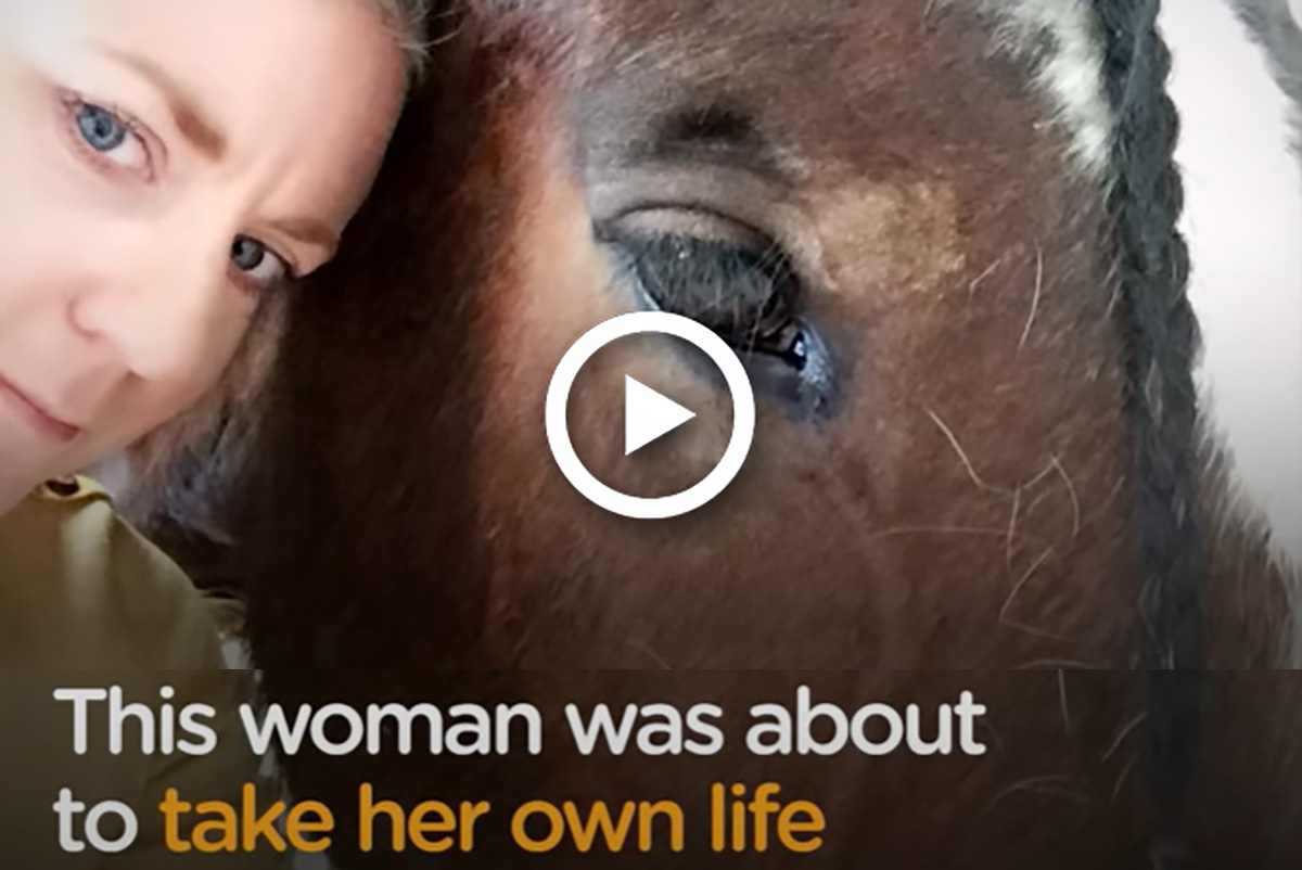 Horse Stops Woman From Taking Her Own Life 