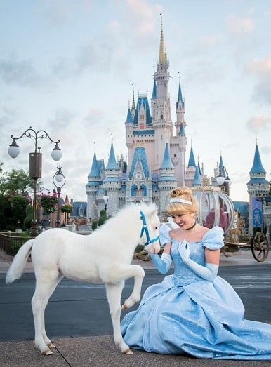 Meet The Cinderella Disney Pony