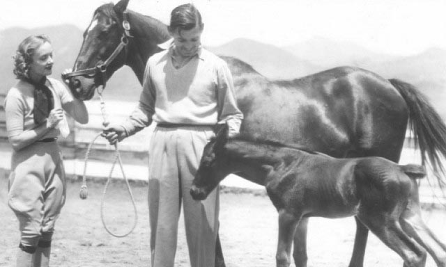Clark Gable and his Horses