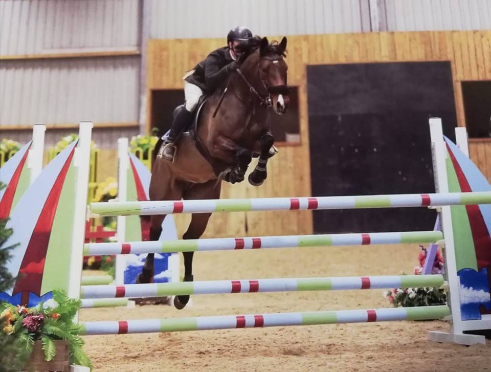 Showjumping Horses For Sale