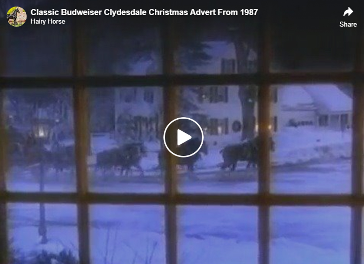 Classic Budweiser Clydesdale Christmas Advert From 1987