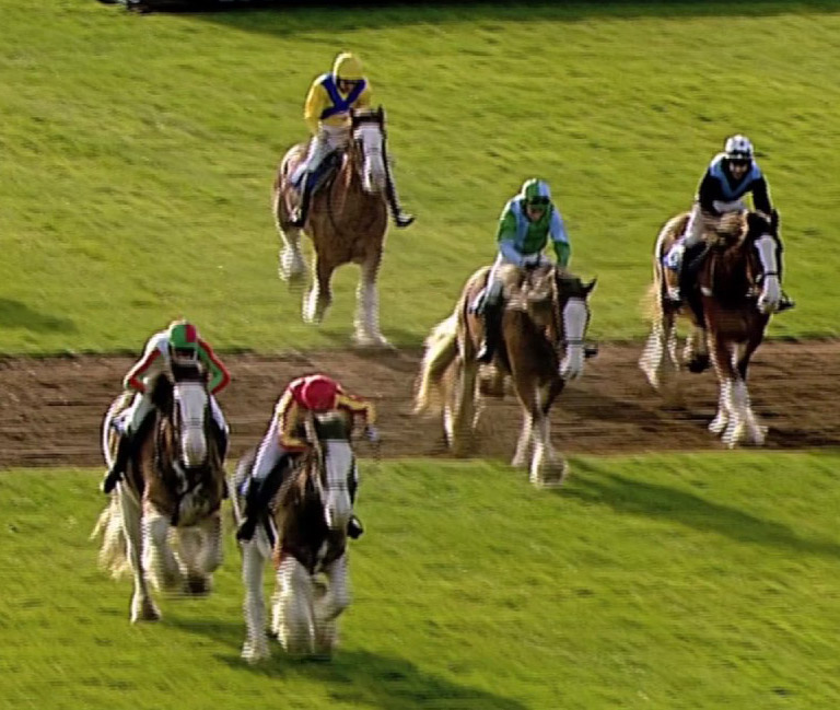 Annual Clydesdale Stakes - Exeter Racecourse