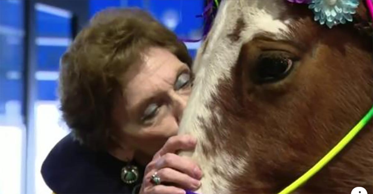 Clydesdale Horses Bring Love And Joy To Seniors In Nursing Home