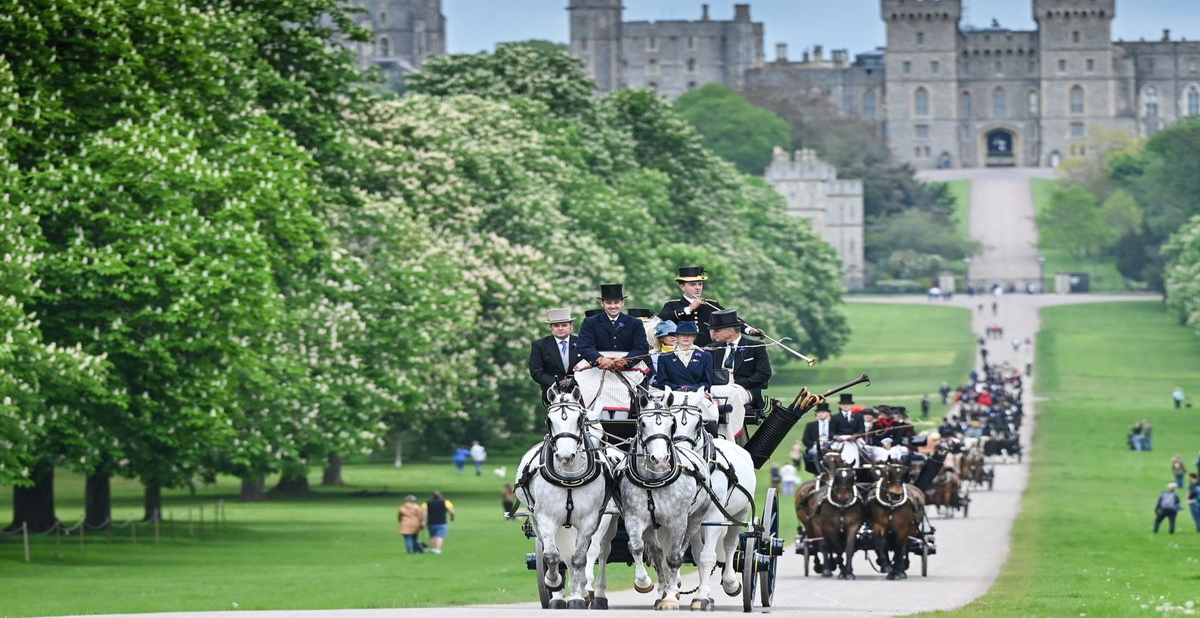 Coaching Marathon at Royal Windsor Horse Show