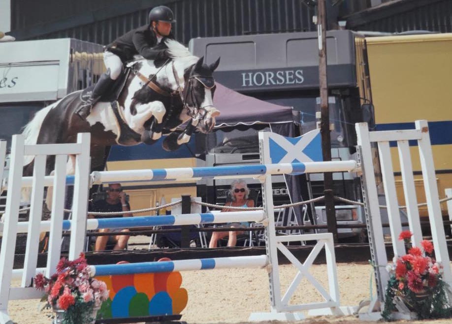 Pinto Showjumping Horse