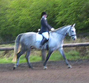 Dressage Horse Eighteen & Samantha Morrison