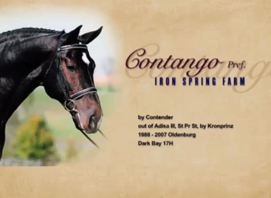 Contango