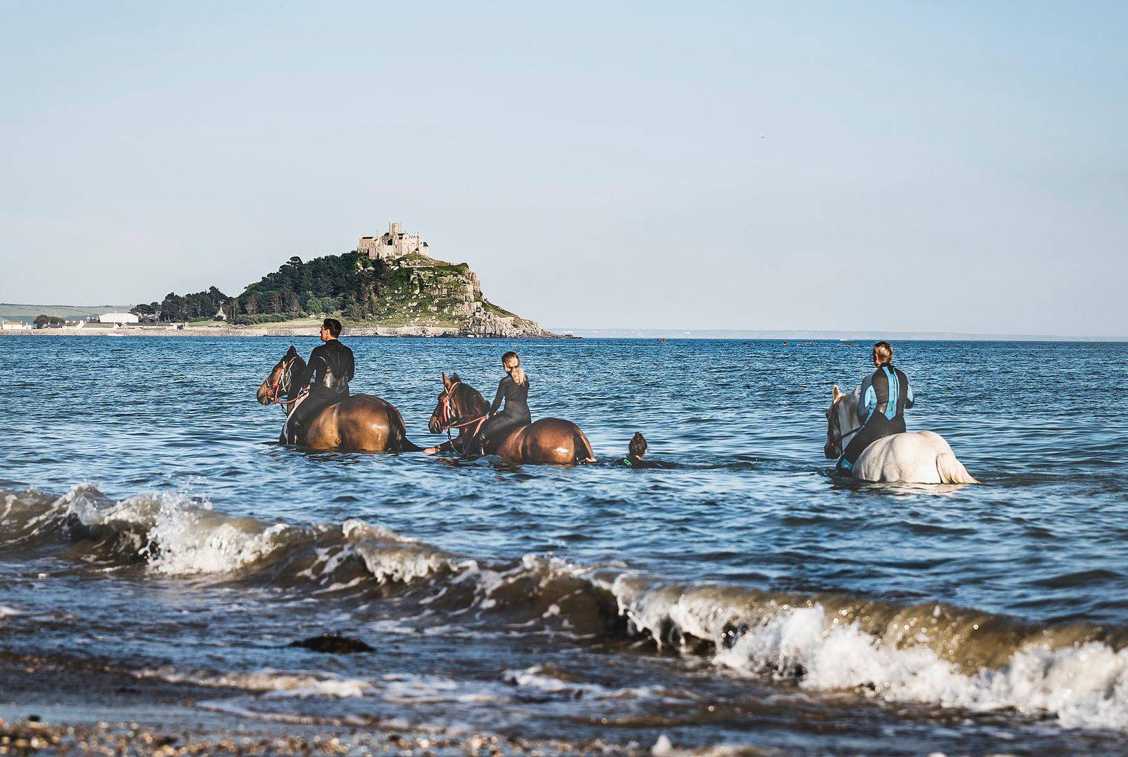 Cornwall Swimming Horses
