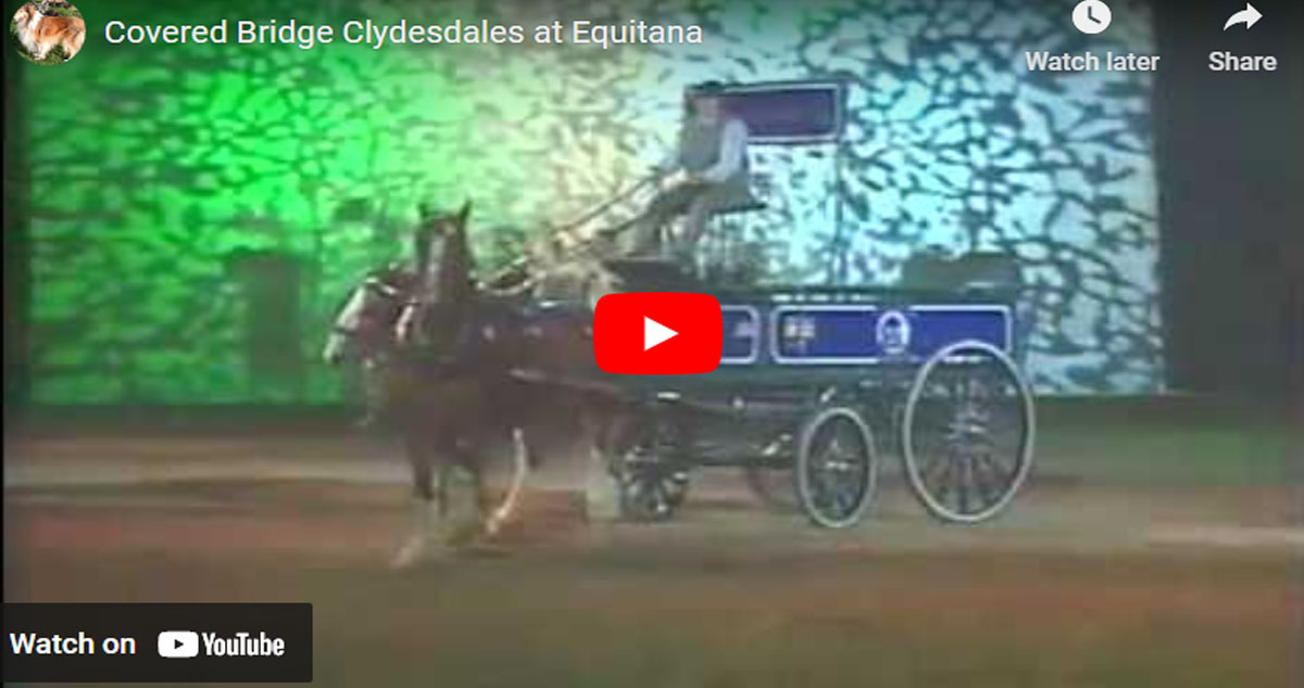 Covered Bridge Clydesdales at Equitana - Driven by Christopher Nestor