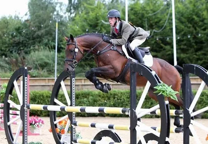 Cristobal - Trakehner Stallion