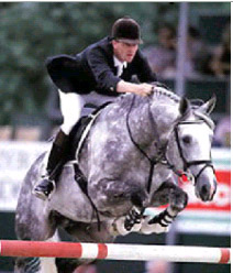 Cruising - Showjumping Stallion