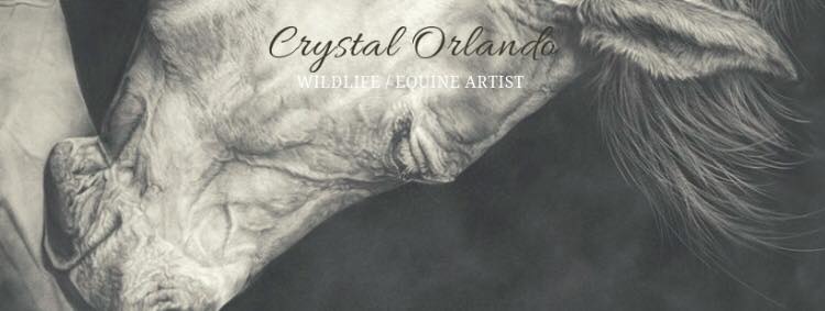 Crystal Orlando Wildlife / Equine Artist 