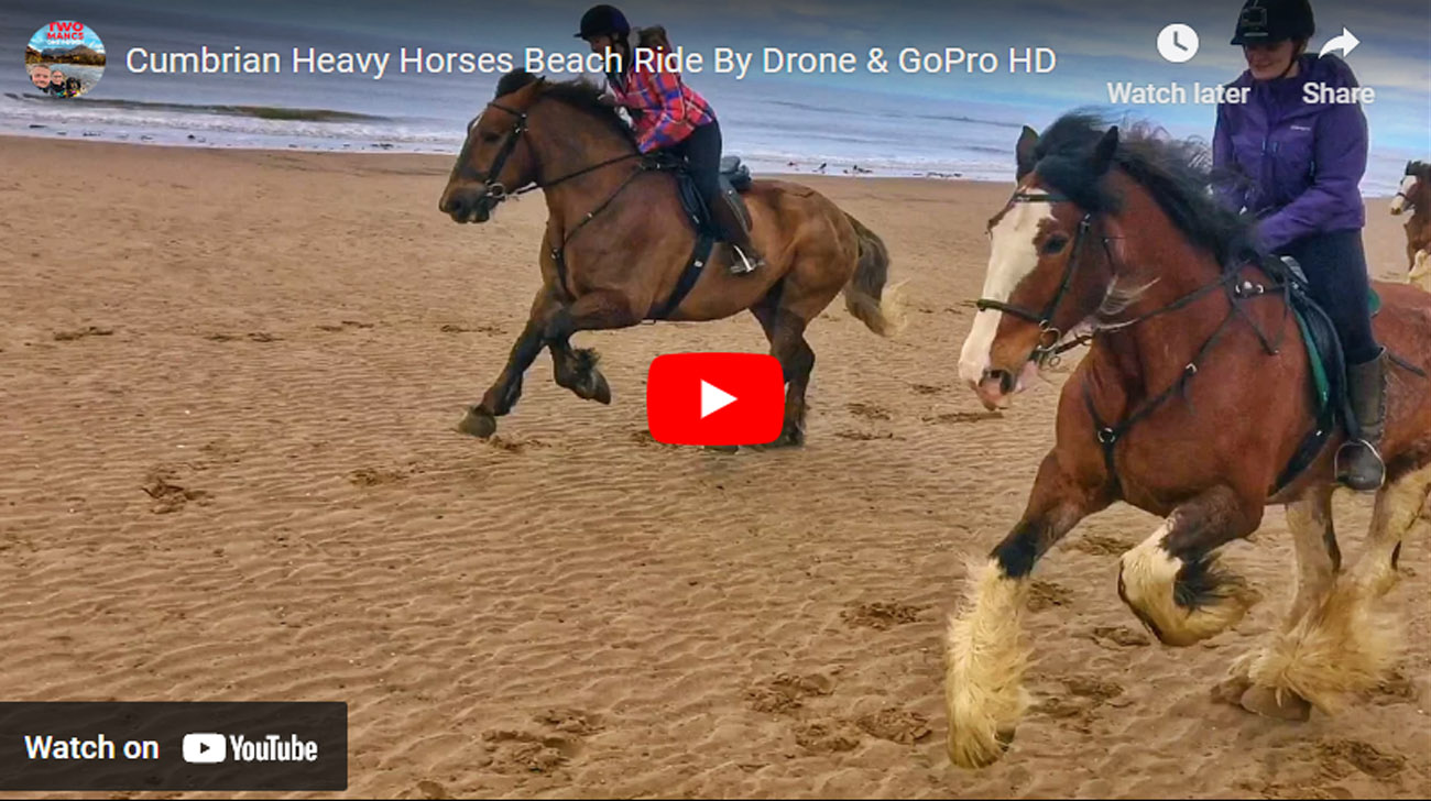 Cumbrian Heavy Horses Beach Ride