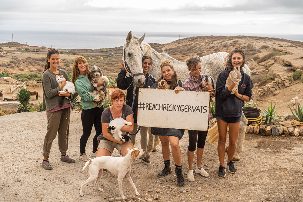 Tenerife Horse Rescue