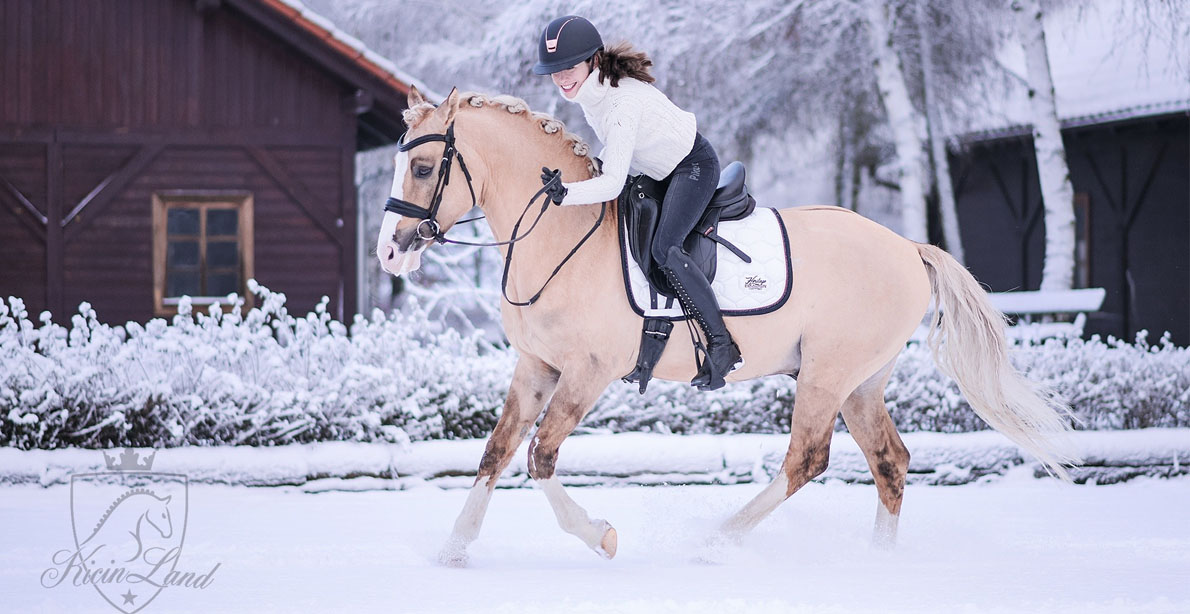 Maryna Kowalska and Daichi Dalvin (Djamai du Bois x Don Cremello du Bois), Kicinland - Poland