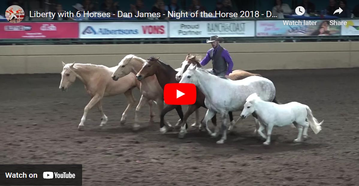 Dan James - Liberty with 6 Horses