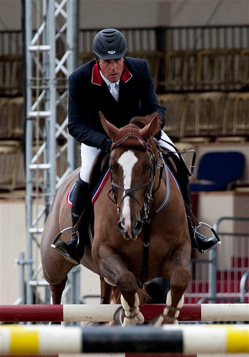 David McPherson - Showjumping Rider