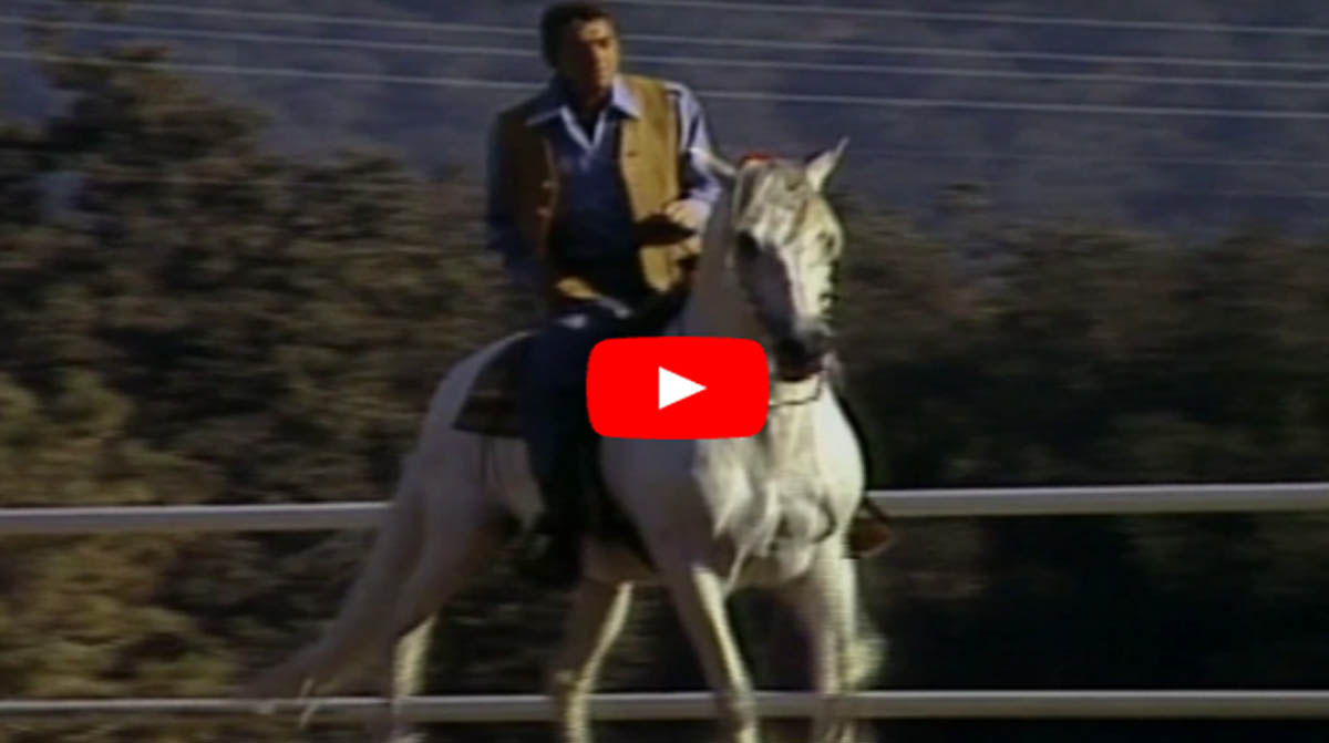Dean Martin and His Purebred Andalusian Horses