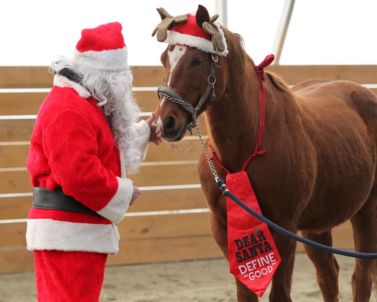 Horse Santa