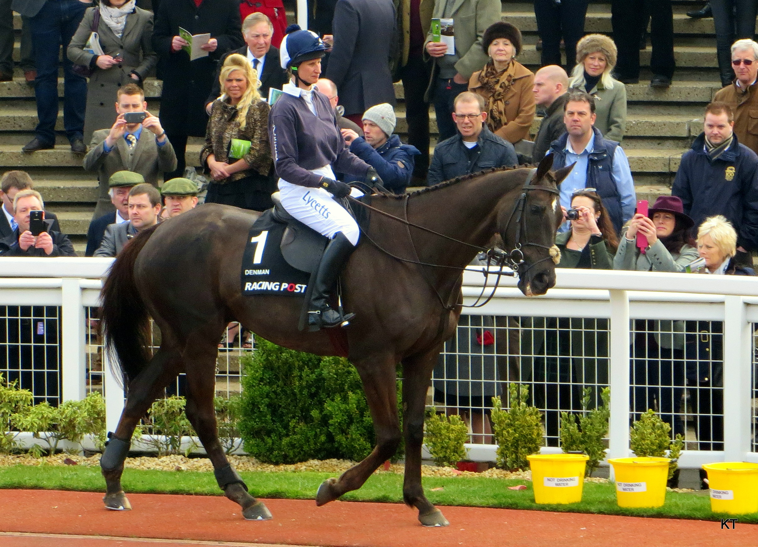 Denman