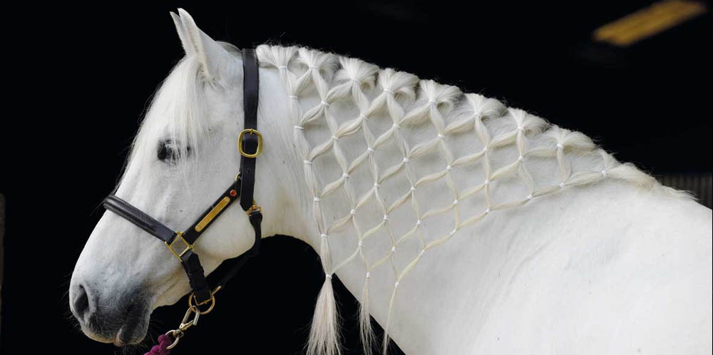 Dimond Braid For A Horses Mane (Lattice Braid)