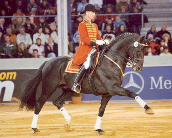 Don Johnson sire
