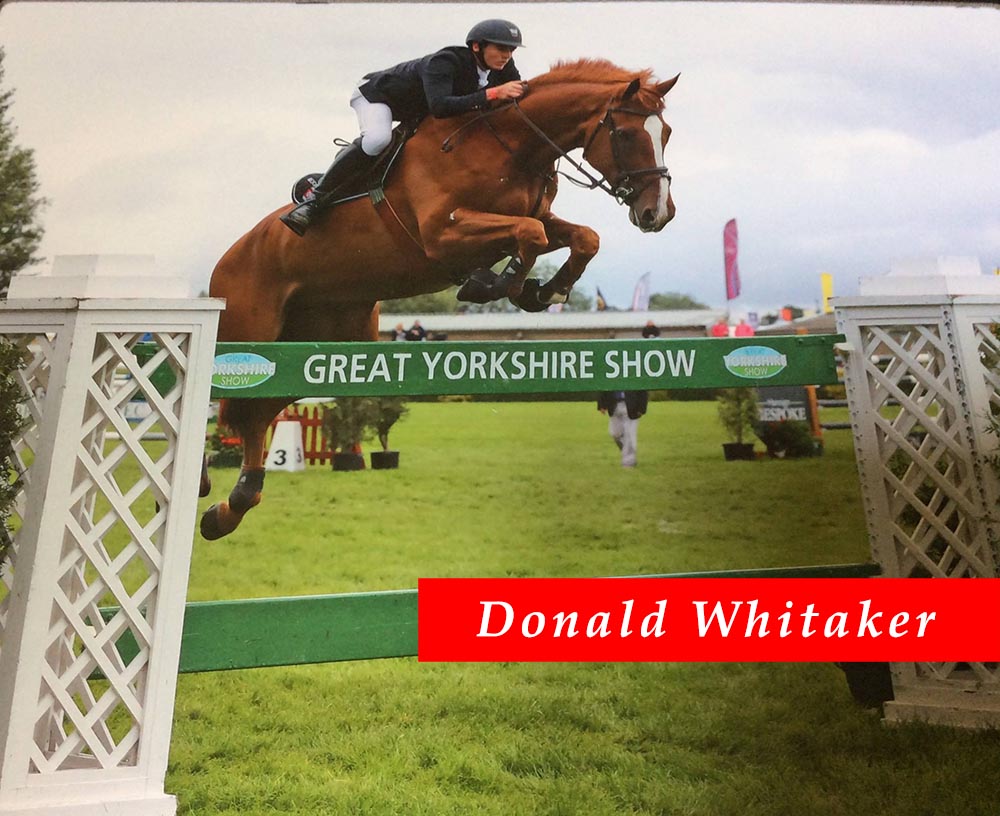 Donald Whitaker - Showjumper