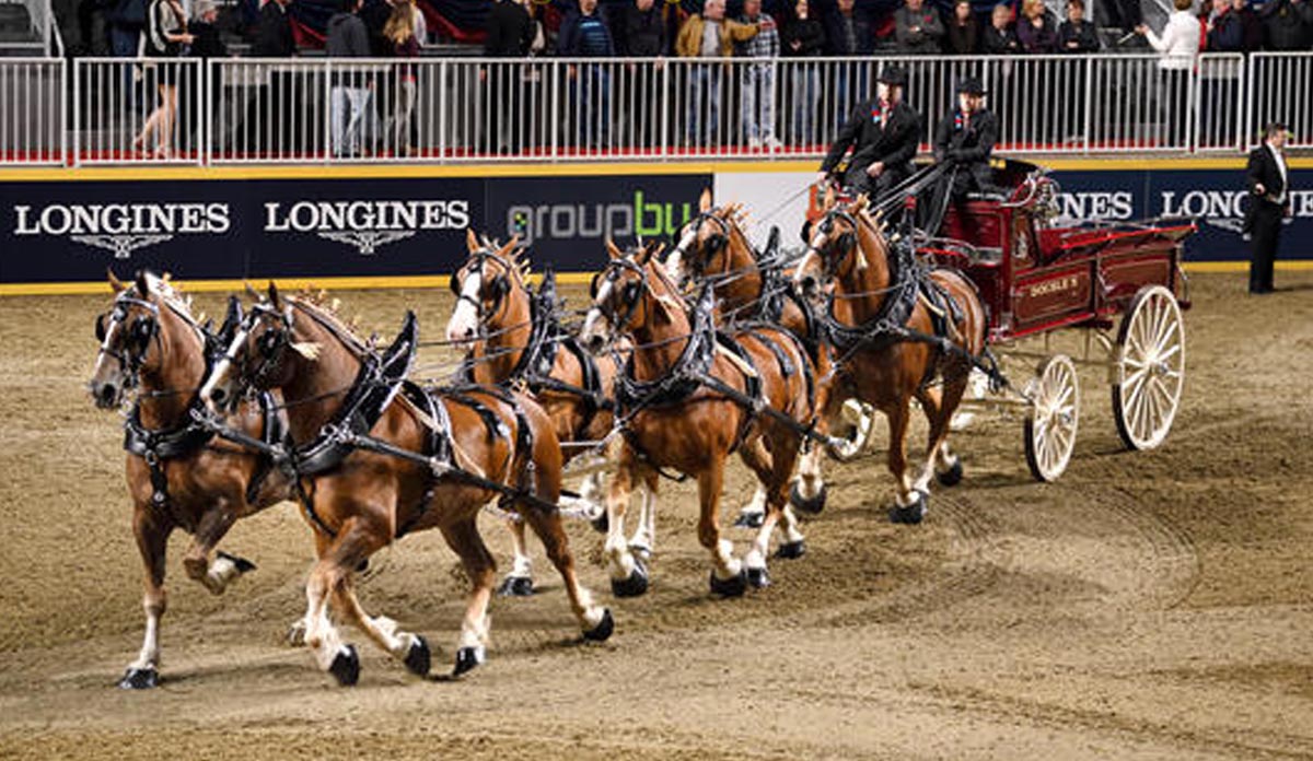 Double S Belgians high step their way to top spot in the World Champion Six Horse Hitch