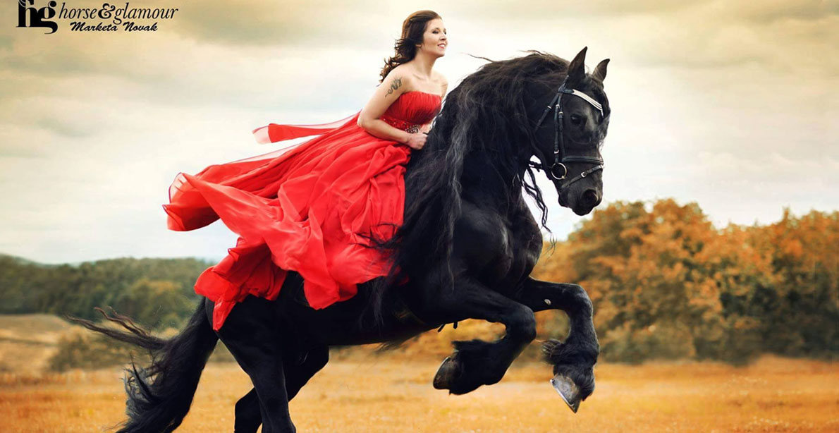 Dream Black Horse @Marketa Novak