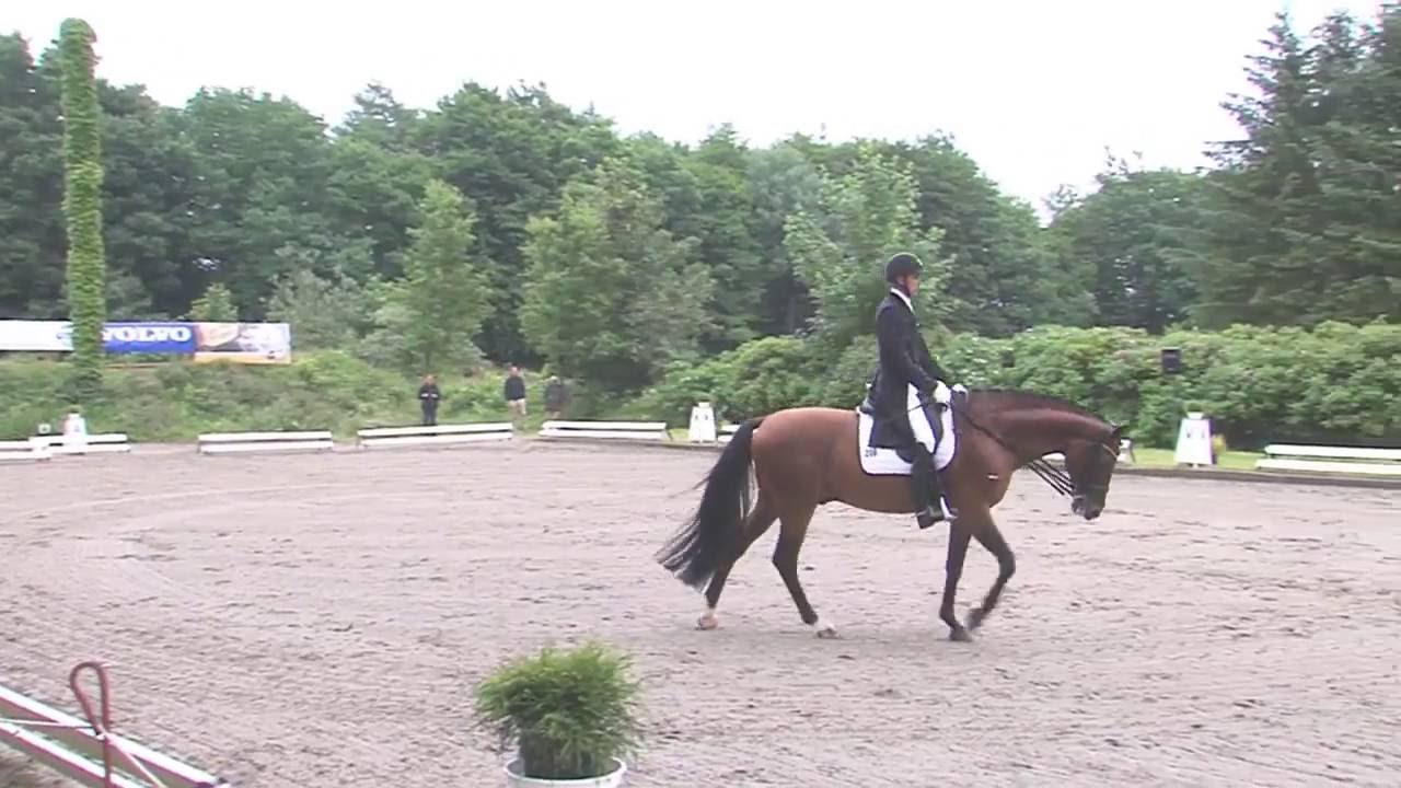 Olympic Dressage