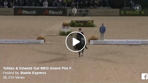 Dressage Videos