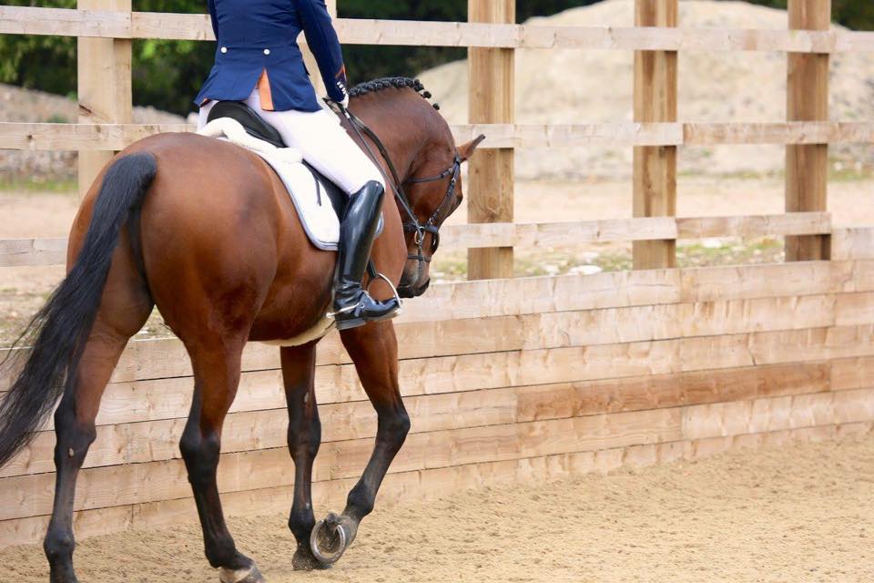 Dressage