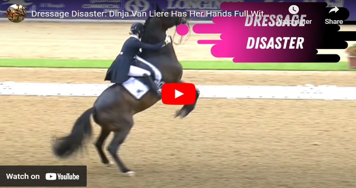 Dressage Disaster - Dinja Van Liere Has Her Hands Full With Hermes In The Grand Prix Freestyle