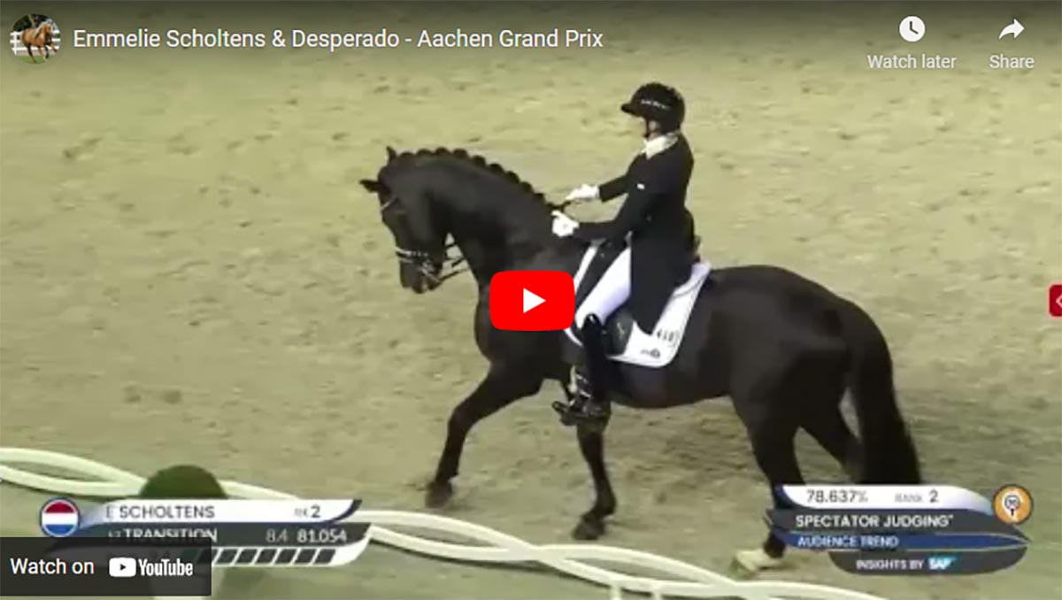 Dutch Warmblood Breeders