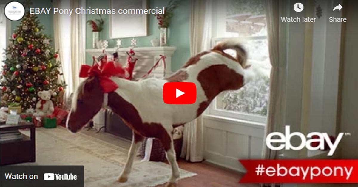 EBAY Pony Christmas Commercial