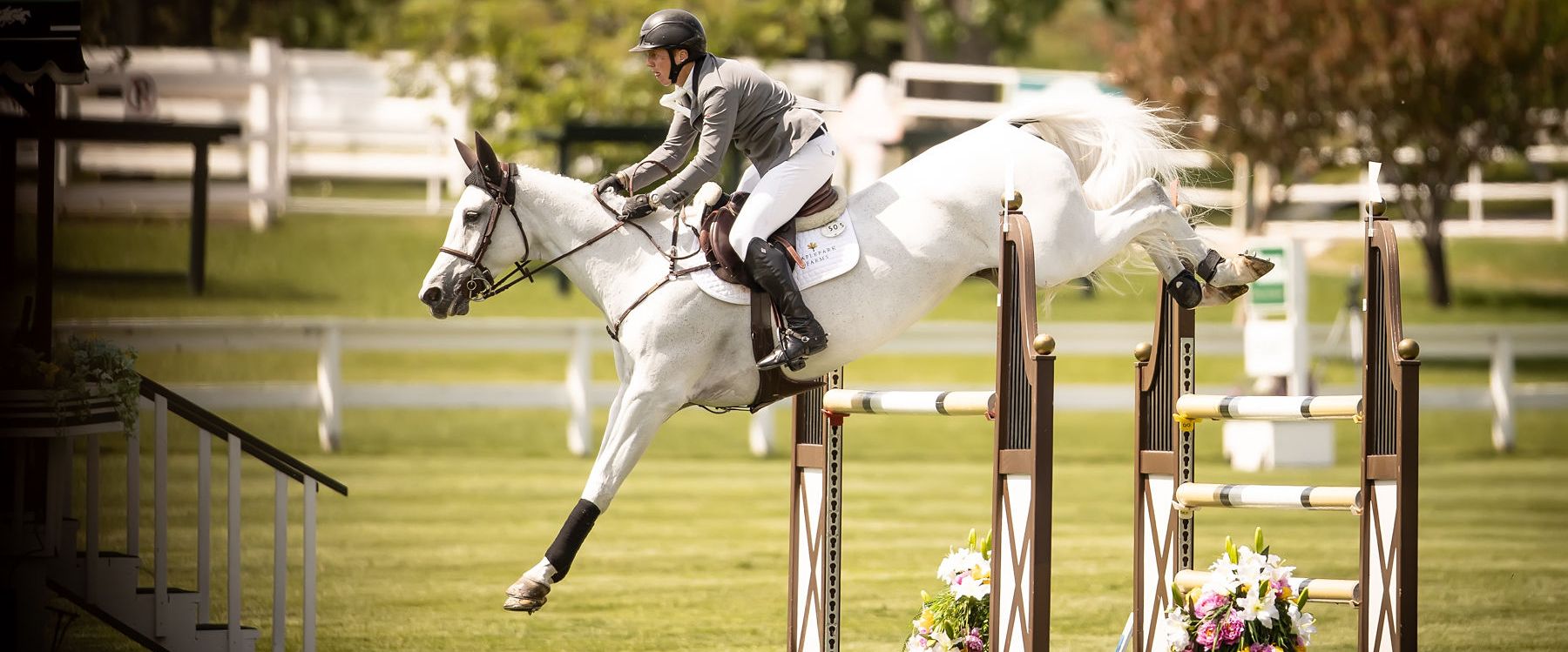 Ebolensky (Clinton x Hearbreaker), competed by British rider Matt Sampson