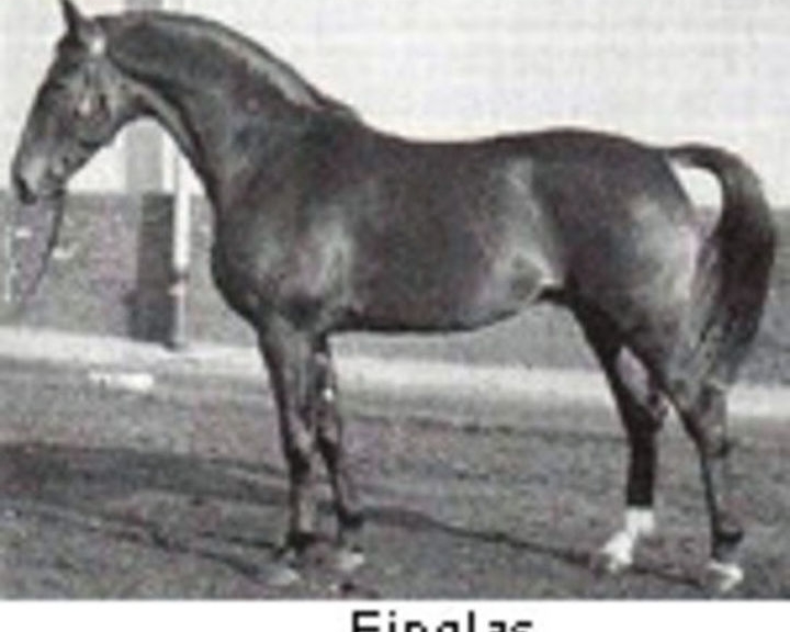 Einglas - Sire Of Eisenherz I