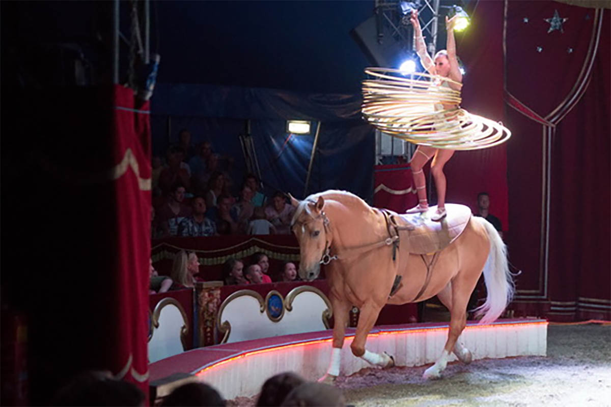 Eliana Stipka Ballerina and Hula Hoop on horseback