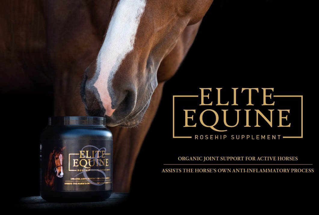 Equine Elite