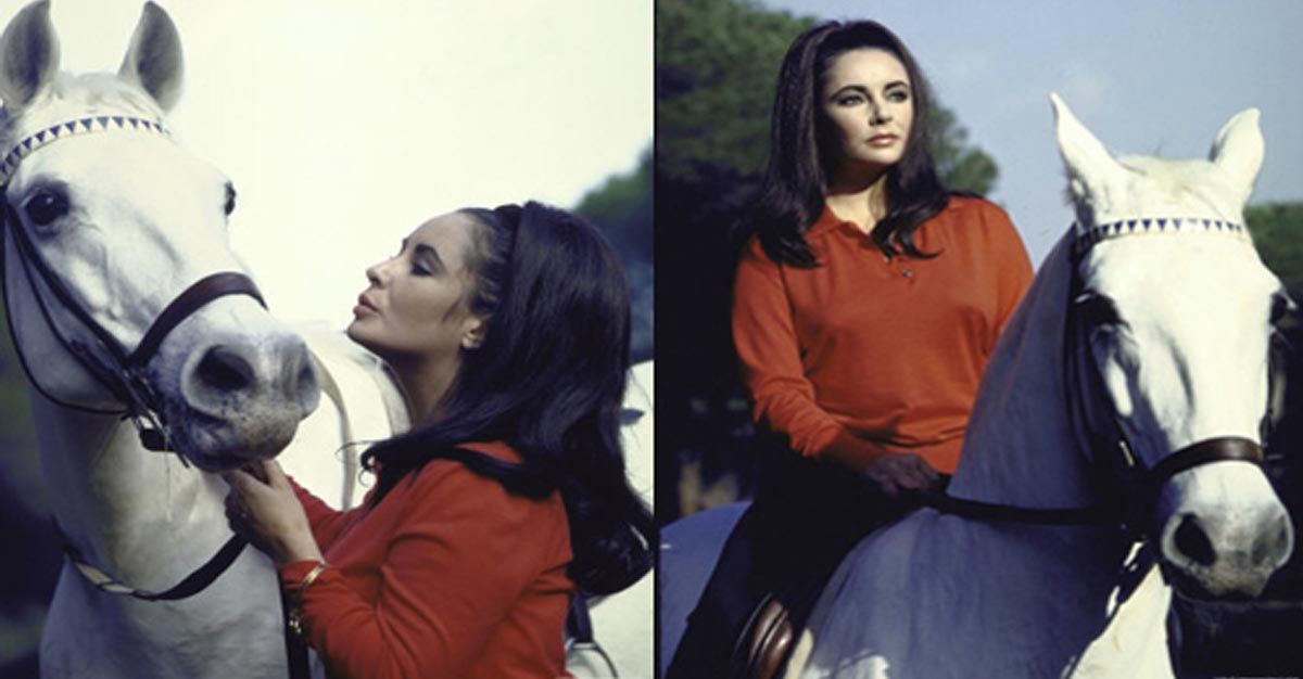 Elizabeth Taylor - Some Of My Best Leading Men Have Been Dogs and Horses