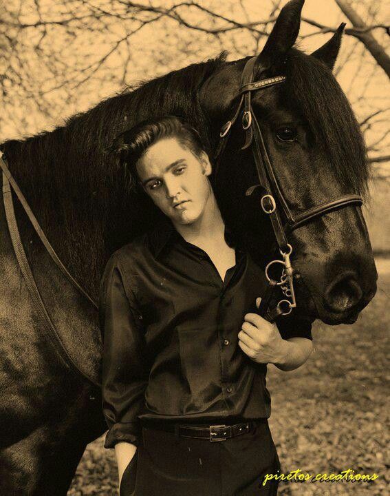 Elvis Presley - Horses