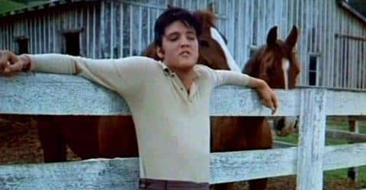 Why Elvis Presley Loved Horses So Much